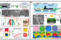 南京工业大学陈苏教授：微流控纺丝化学最新进展