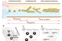 北京工业大学邓积光团队：微流控层流合成超大二维金属纳米线网络用于甲酸电氧化