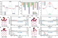 大连理工大学刘家旭&高岩&高峻峰：微流控连续合成尺寸和晶面可控的多孔Bi2O3纳米球，高效催化CO2转化为甲酸