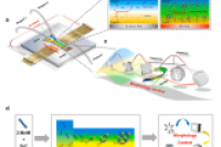 吉林大学李桂英教授&杨方教授团队：交流电动力混合策略辅助微流控合成ZIF-8