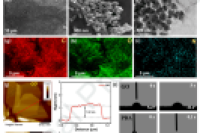 南京工业大学陈苏教授团队：多通道微流控-电纺丝法制备负载氧化石墨烯-聚多巴胺的均匀纤维膜，实现高效废水净化