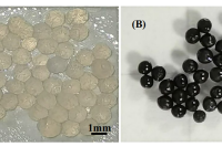 厦门大学熊晓鹏教授等人：微流控制备磁性壳聚糖微球，用于刚果红吸附