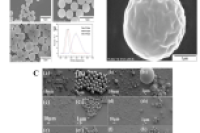 一图读懂综述：聚合物微球的制备、改性及其在废水处理中的应用