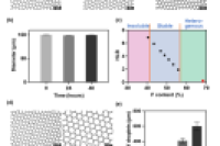 昆士兰大学乔瑞瑞团队：开发用于微流控液滴生成的功能性含氟聚合物表面活性剂