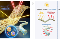 上海理工大学王彤团队：自适应相变微胶囊实现高效可持续冷却