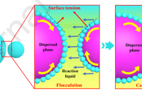 兰州理工大学兰巧团队：微流控法制备壳聚糖基Pickering乳液，开启4-硝基苯酚废水治理新篇章！