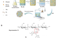 福建农林大学张灵玲教授团队：壳聚糖基Pickering双乳液微胶囊增强苏云金芽孢杆菌杀蚊持久性