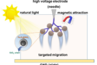 绝缘层损伤如何自救？磁靶向光敏微胶囊来支招