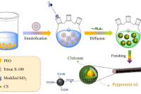 江南大学陈坤林副教授&许波副教授：单凝聚法构筑长效缓释型二氧化硅/壳聚糖微胶囊，用于双功能织物涂层