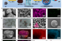 《Chem. Eng. J.》: 混合红磷/三聚氰胺微胶囊！增强聚氨酯复合泡沫耐火性，抑制PH3释放