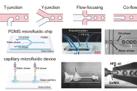 一图读懂综述：微流控辅助构建具有微观复杂性的水凝胶及其应用进展