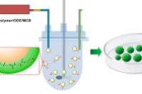 佛山大学团队研发基于动态二硫键的智能微胶囊，实现形状自适应自修复