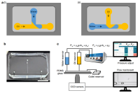 微流控新突破！T型结 “按需造液滴”，精准控制还不用复杂设备