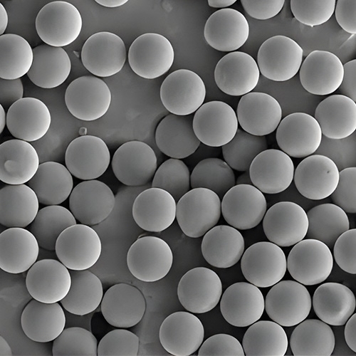 Poly(lactide-co-glycolide) (PLGA) Microspheres